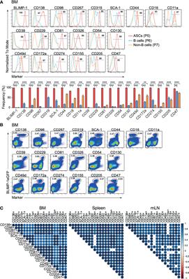 CD39 and CD326 Are Bona Fide Markers of Murine and Human Plasma Cells and Identify a Bone Marrow Specific Plasma Cell Subpopulation in Lupus